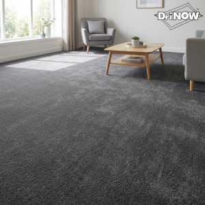 Lounge Carpet Clean