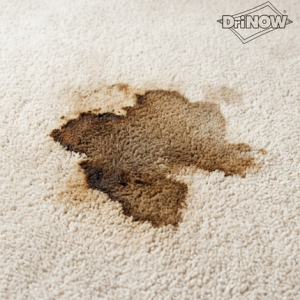 Stain Cleaning